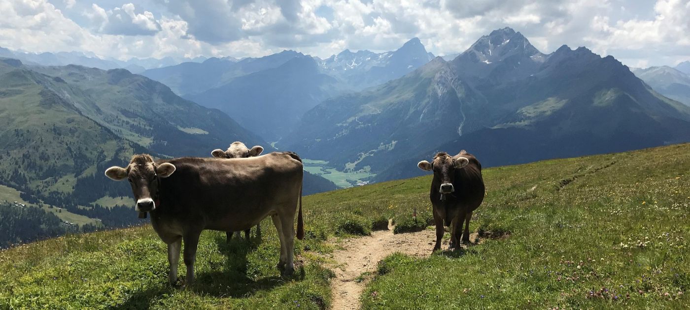 GGWK Musterbilder